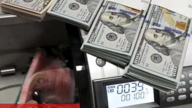 Dolar, enflasyon endişeleri nedeniyle güçlü seyrediyor