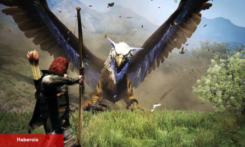Dragon's Dogma 2'ye Birinci Bakış: Yılın En Yeterlisi Olur Mu?