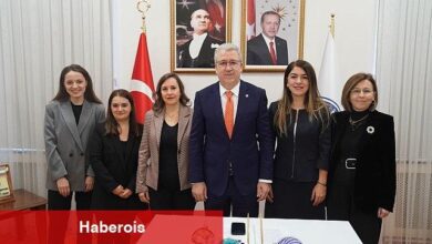Egeli akademisyenler kadına yönelik şiddet konusunda sağlık profesyonellerini eğitecek