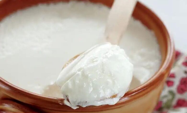Ev Yapımı Yoğurt - Haberois Ev Yapımı Yoğurt