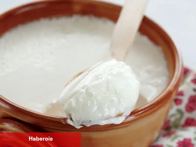Ev Yapımı Yoğurt