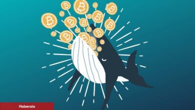 Farklı Datalar: Son Bitcoin Düşüşünün Gerisinde Balinalar mı Var?