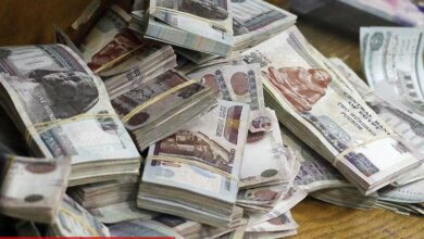 Fitch kredi notu gözden geçirmesi için Mısır'ın kalıcı reformlarının kanıtlanmasını bekliyor