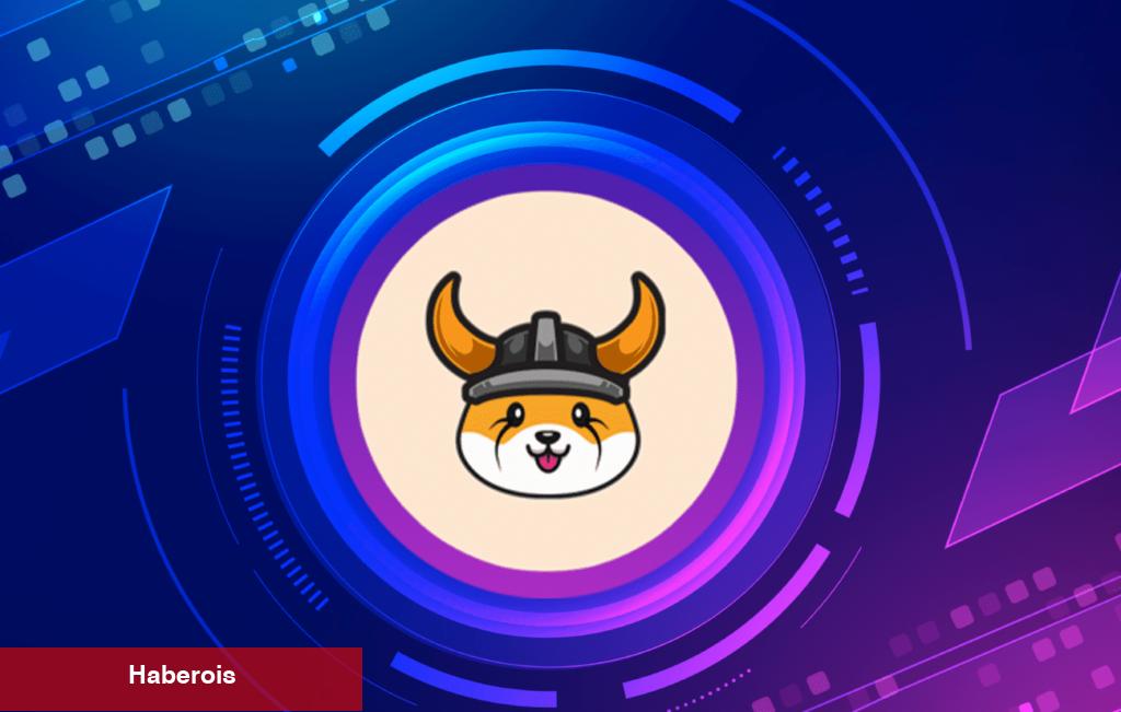 FLOKI Coin ve Bu 3 Altcoin DWF Labs’ın Listesine Girdi! - Haberois FLOKI Coin ve Bu 3 Altcoin DWF Labs’ın Listesine Girdi!