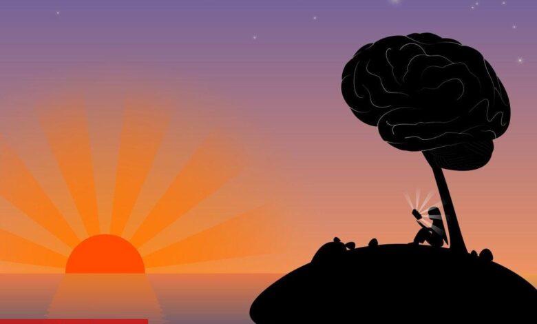 Geceleri ya da karanlıkta salgılanan melatonin!