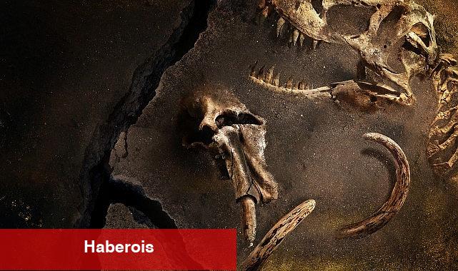 Gezegenimizde Yaşamış En Büyük Hayvanların Gizemini Konu Alan 'Kayıp Hayvanların Gizemli Geçmişi' 28 Mart Perşembe 22.00'de National Geographic Ekranlarında Başlıyor!