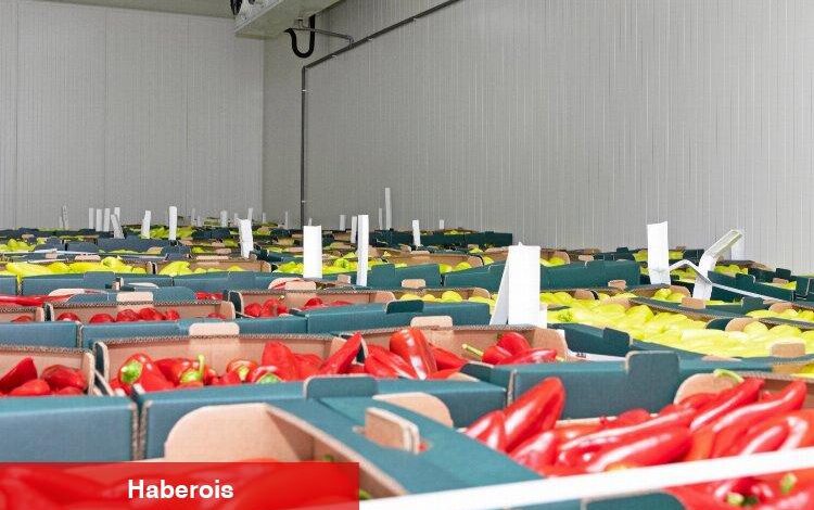 Gıda lojistiği Ramazanda ön plana çıktı - Haberois Gıda lojistiği Ramazanda ön plana çıktı