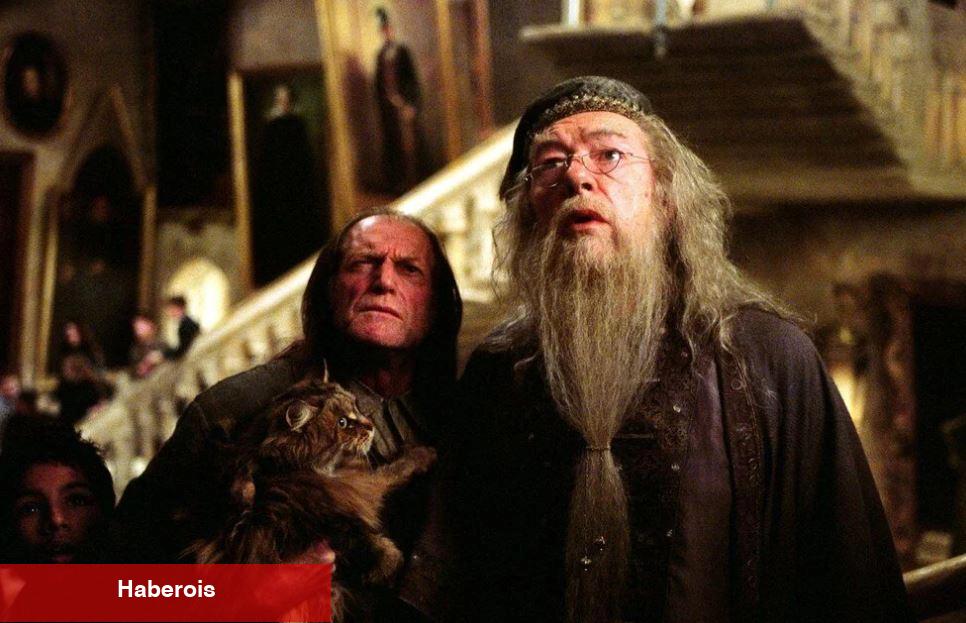 Harry Potter'ın Dumbledore'u Michael Gambon'un 59 milyonluk servetini kime bıraktığı açıklandı!