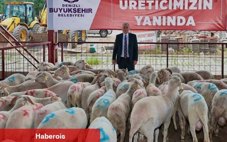 Hayvan üreticilerine büyük destek - Haberois Hayvan üreticilerine büyük destek