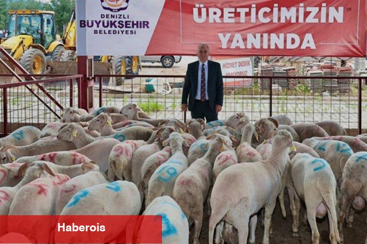 Hayvan üreticilerine büyük destek
