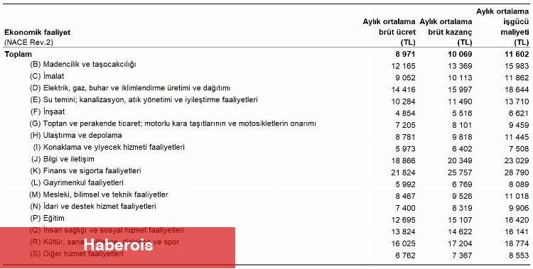 İşgücü ortalama maliyeti 11 bin 602 TL - Haberois İşgücü ortalama maliyeti 11 bin 602 TL