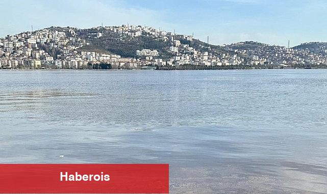 "İzmit Körfezi'nde müsilaj yok, kırmızılık mevsimsel geçişten kaynaklanıyor" - Haberois "İzmit Körfezi'nde müsilaj yok, kırmızılık mevsimsel geçişten kaynaklanıyor"
