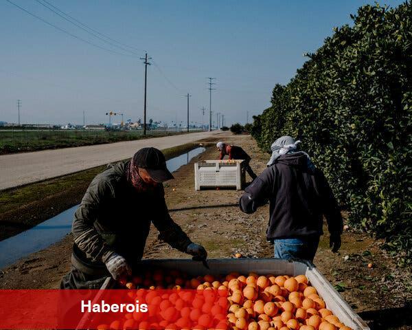 Kaliforniya Hakkında En İyi Kitaplar - Haberois Kaliforniya Hakkında En İyi Kitaplar