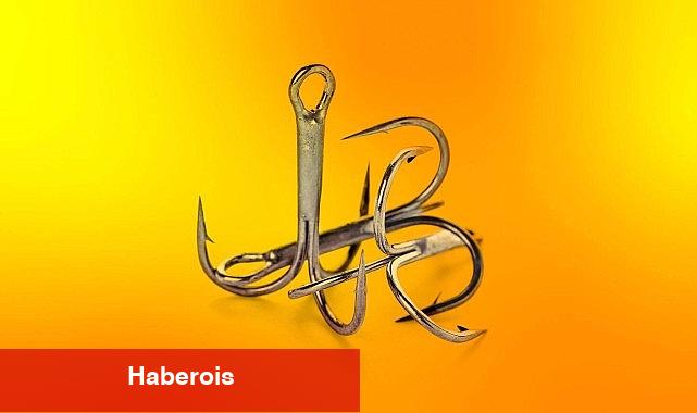 KOBİ'leri hedef alan yeni dolandırıcılık yöntemi: ESP'ler aracılığıyla kimlik avı - Haberois KOBİ'leri hedef alan yeni dolandırıcılık yöntemi: ESP'ler aracılığıyla kimlik avı