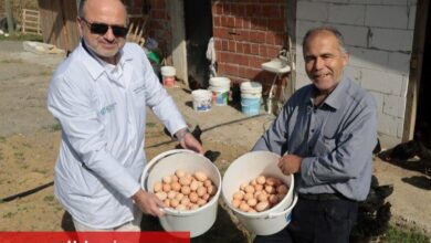 Kocaeli'de çiftçinin yüzü gülüyor