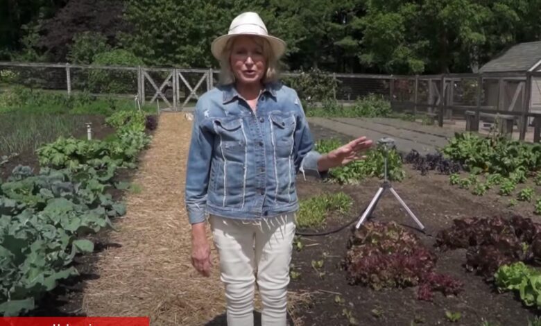 Konut dekorasyonu ve yemek pişirme dahisi: Martha Stewart! - Haberois Konut dekorasyonu ve yemek pişirme dahisi: Martha Stewart!
