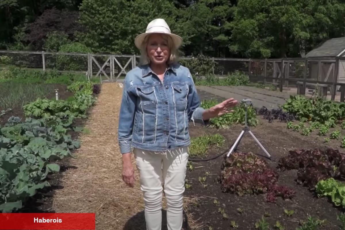 Konut dekorasyonu ve yemek pişirme dahisi: Martha Stewart!