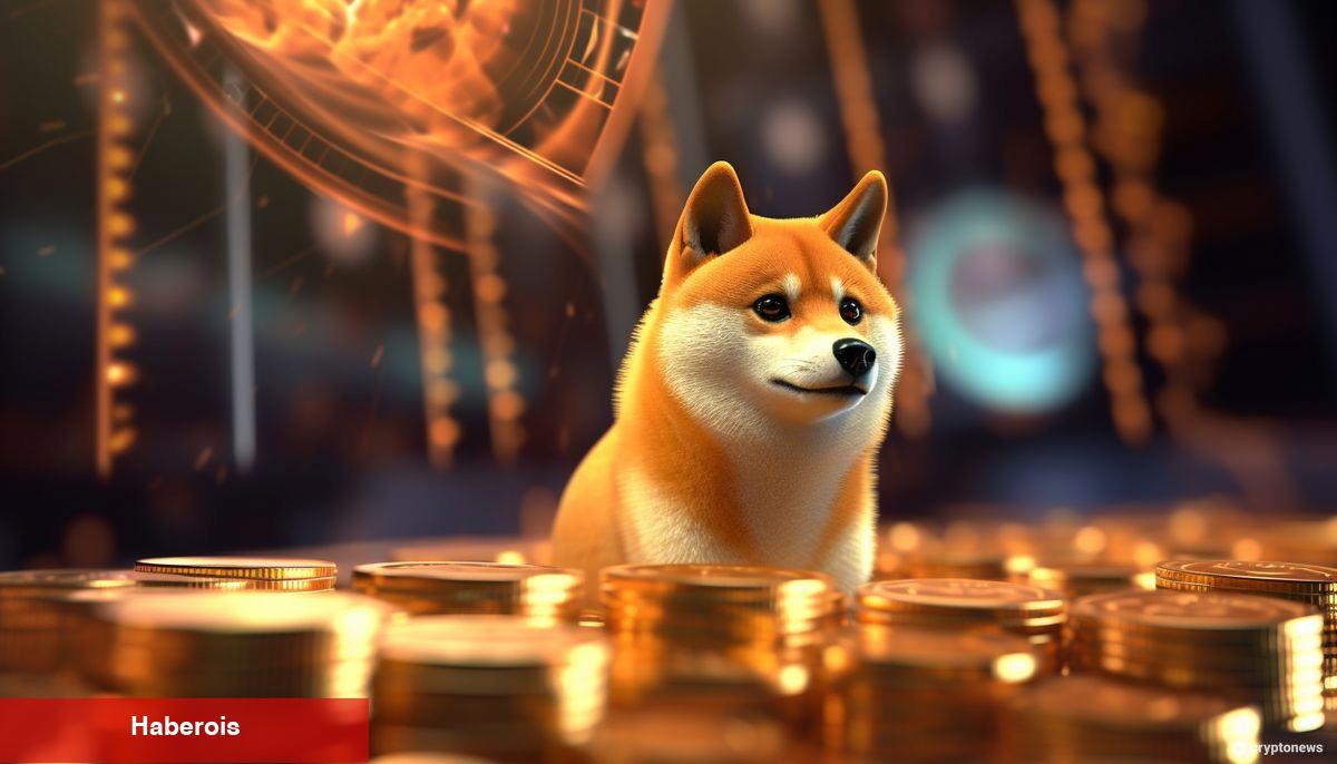 Kripto Borsasında Bakiyeler Sıfırlandı, Shiba Inu Yarı Yarıya Düştü! - Haberois Kripto Borsasında Bakiyeler Sıfırlandı, Shiba Inu Yarı Yarıya Düştü!