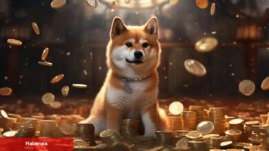Kripto Borsasında Bakiyeler Sıfırlandı, Shiba Inu Yarı Yarıya Düştü!