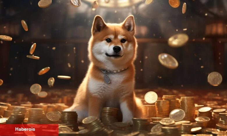 Kripto Borsasında Bakiyeler Sıfırlandı, Shiba Inu Yarı Yarıya Düştü! - Haberois Kripto Borsasında Bakiyeler Sıfırlandı, Shiba Inu Yarı Yarıya Düştü!