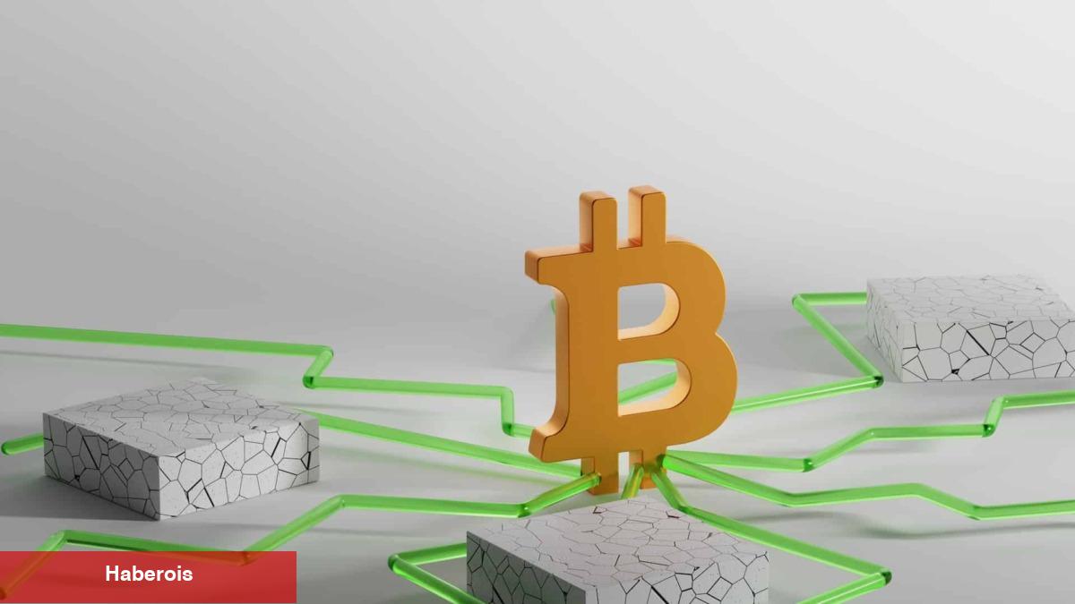 Kriz Kâhininden Bitcoin Kestirimi: 4x Yapacak! - Haberois Kriz Kâhininden Bitcoin Kestirimi: 4x Yapacak!