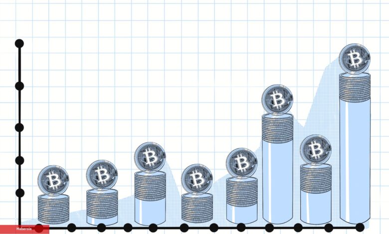 Kriz Kâhininden Bitcoin Kestirimi: 4x Yapacak! - Haberois Kriz Kâhininden Bitcoin Kestirimi: 4x Yapacak!