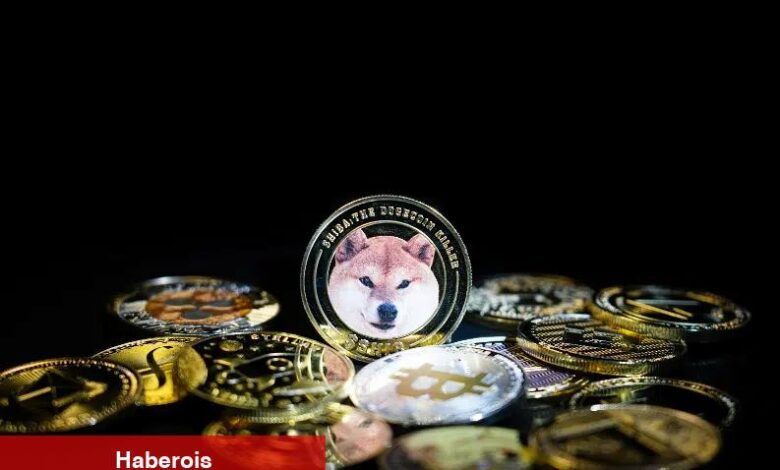 O 4 Göğüs Coin Patlama Yaşıyor: Yüzde 3.000 Yapıldı! - Haberois O 4 Göğüs Coin Patlama Yaşıyor: Yüzde 3.000 Yapıldı!