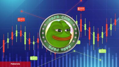 PEPE Coin ve Bu 2 Göğüs Coin’den Taze Rekor Geldi!