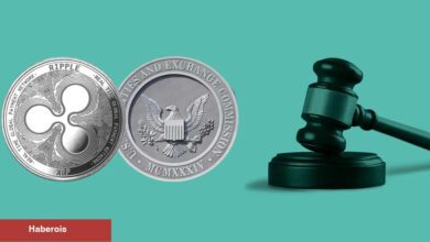 Ripple Davası İçin Sıcak Gelişme: SEC, Kesin Karar İstiyor!