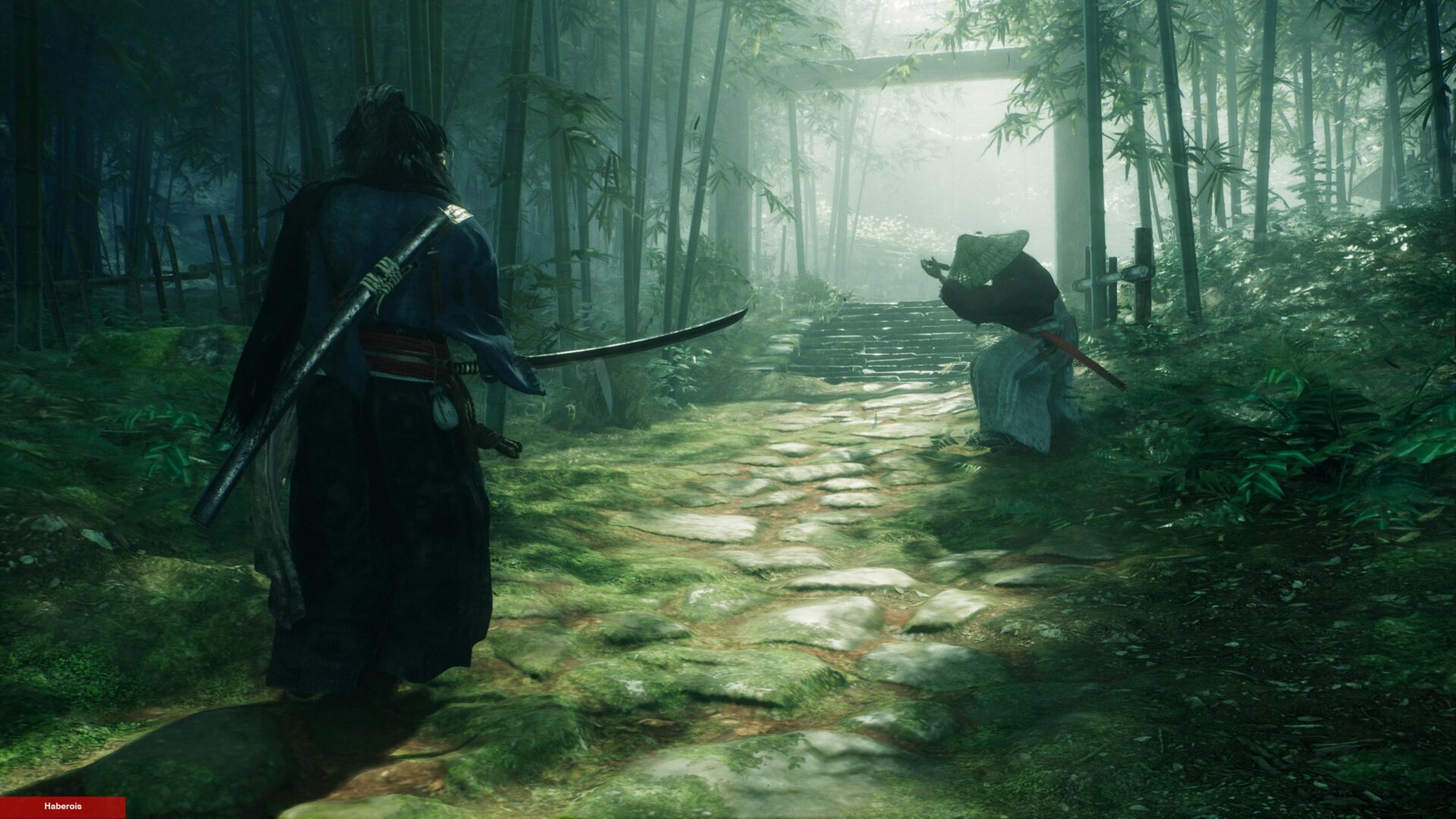 Rise of the Ronin İnceleme Puanları