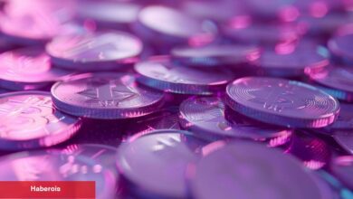 RWA Coinleri Uçuyor: İşte Sebebi ve En Çok Yükselenler!