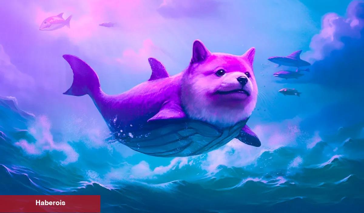 SHIB Coin ve Bu 4 Altcoin’den Sıcak Haberler: Balinalar Çalışıyor! - Haberois SHIB Coin ve Bu 4 Altcoin’den Sıcak Haberler: Balinalar Çalışıyor!