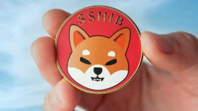 Shiba Inu Mucidi O Altcoin’in Binance’te Listelenmesi İçin Davette Bulundu!