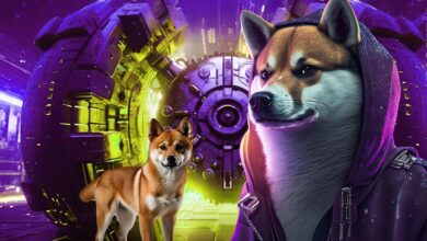 Shiba Inu Önderi Büyük Güncelleme İçin Tarih Verdi!