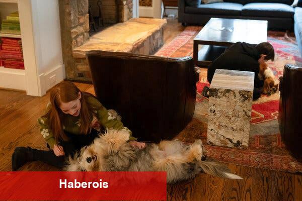 Sözleşmeli Çocukların Geri Dönüş Yollarını Bulmalarına Yardım Eden Köpekler - Haberois Sözleşmeli Çocukların Geri Dönüş Yollarını Bulmalarına Yardım Eden Köpekler