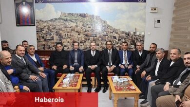 Talus ve Şirin'e Mardinliler'den büyük ilgi