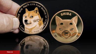 Tanınan Analistten SOL, DOGE ve SHIB Coin Tahminleri!