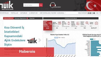 TÜİK, 2 yeni endeks yayımlamaya başlıyor