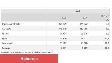 TÜİK: Ticari süt işletmelerince 915 bin 522 ton inek sütü toplandı