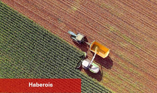 Türkiye Kalkınma ve Yatırım Bankası'ndan Tarım ve Gıda Üretim Sektörlerine 50 Milyon Dolarlık Kredi İmkânı - Haberois Türkiye Kalkınma ve Yatırım Bankası'ndan Tarım ve Gıda Üretim Sektörlerine 50 Milyon Dolarlık Kredi İmkânı