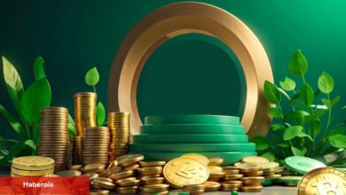 Türklerin Sepetindeki O Altcoin, Yüzde 870 Primle Süreç Görüyor!