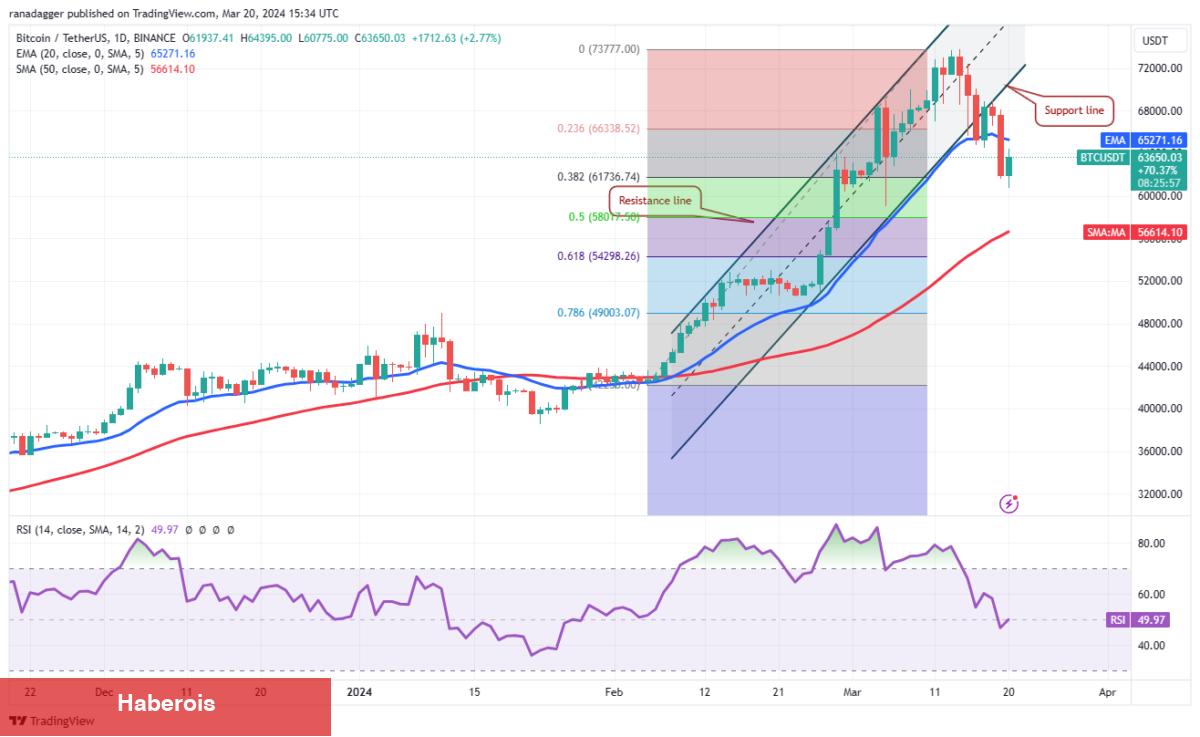 XRP, SHIB, BNB, AVAX Coin ve Bu 6 Coin İçin Al-Sat Seviyeleri!