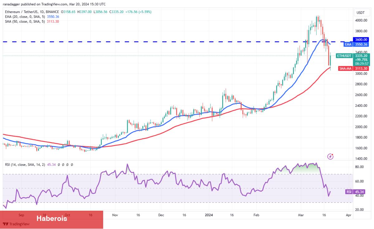XRP, SHIB, BNB, AVAX Coin ve Bu 6 Coin İçin Al-Sat Seviyeleri!
