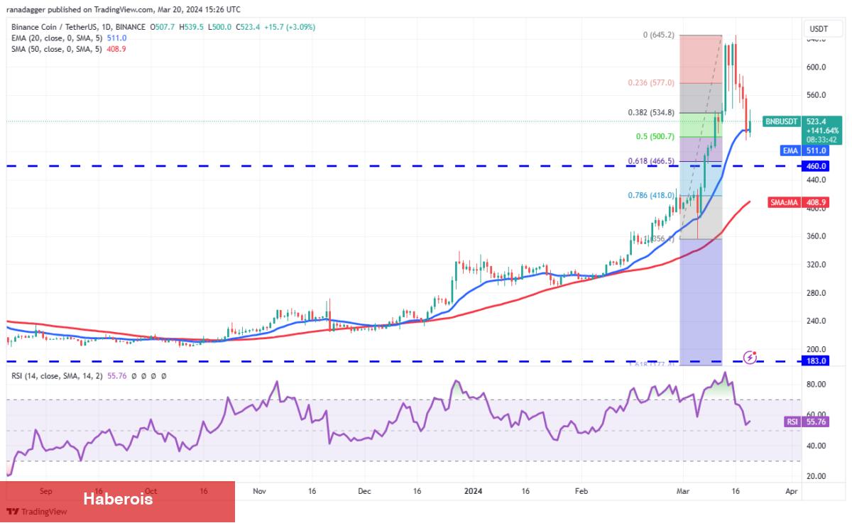 XRP, SHIB, BNB, AVAX Coin ve Bu 6 Coin İçin Al-Sat Seviyeleri!