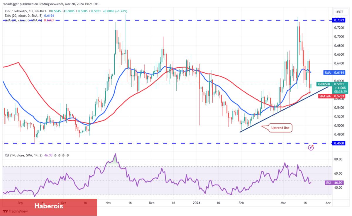 XRP, SHIB, BNB, AVAX Coin ve Bu 6 Coin İçin Al-Sat Seviyeleri!