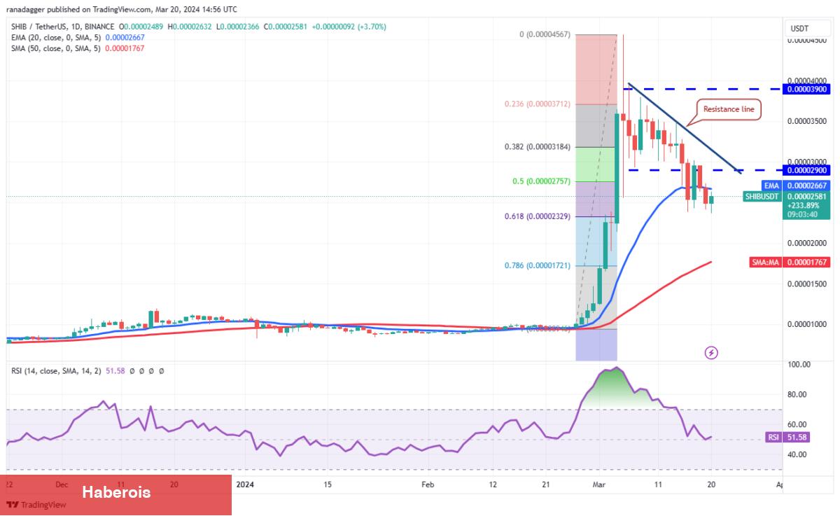 XRP, SHIB, BNB, AVAX Coin ve Bu 6 Coin İçin Al-Sat Seviyeleri!