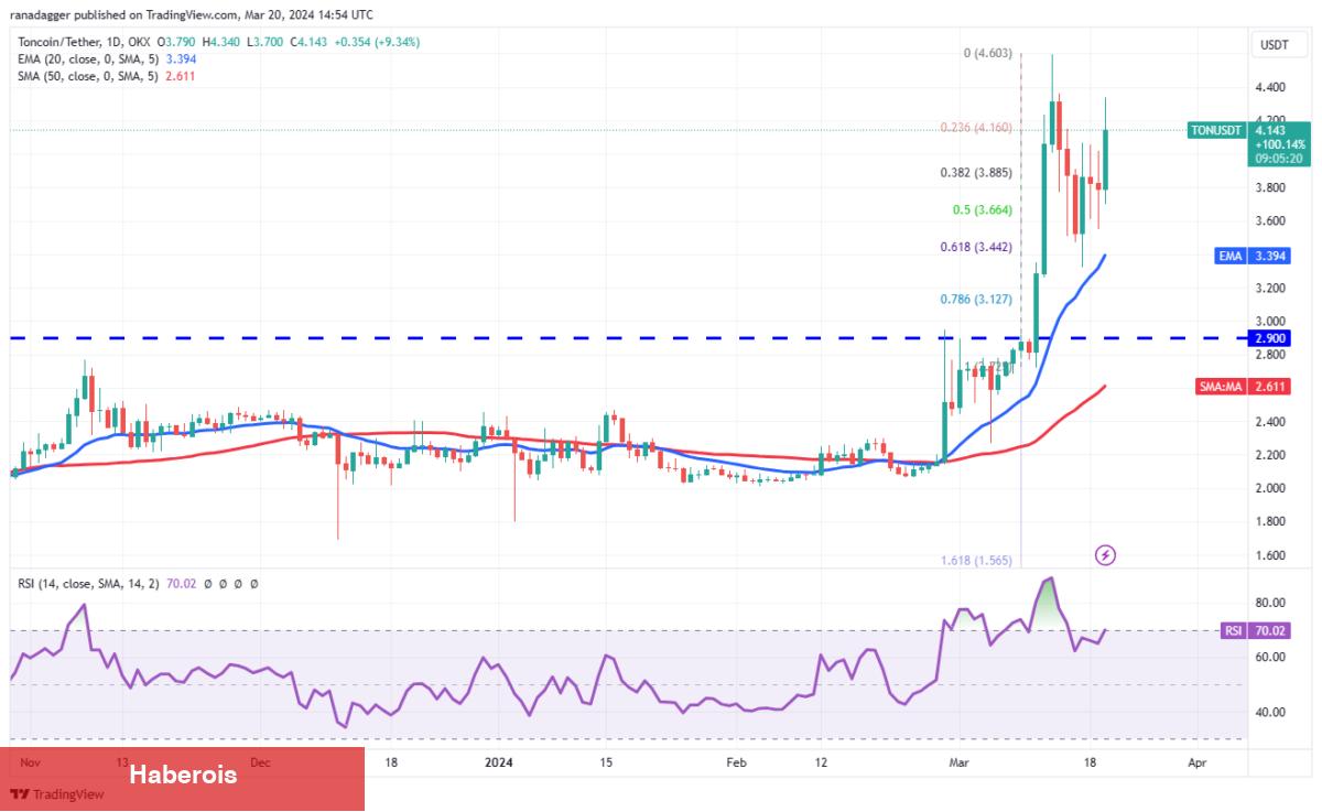 XRP, SHIB, BNB, AVAX Coin ve Bu 6 Coin İçin Al-Sat Seviyeleri!