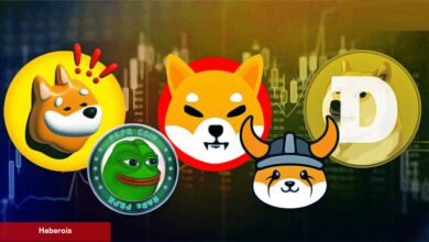 Yakma Teklifi Geçti: Bu Göğüs Coin Fiyatını İkiye Katladı!