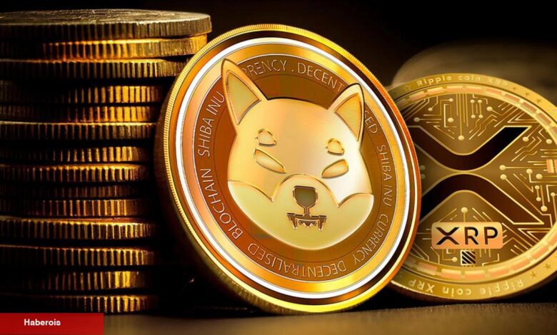 Yapay Zeka Mart Sonu İçin XRP ve SHIB Coin Fiyatını Öngördü! - Haberois Yapay Zeka Mart Sonu İçin XRP ve SHIB Coin Fiyatını Öngördü!