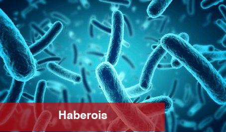 Yeni bir mikrop keşfedildi; tüm insanlık tehlikede - Haberois Yeni bir mikrop keşfedildi; tüm insanlık tehlikede